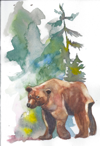 WAT_bear_c